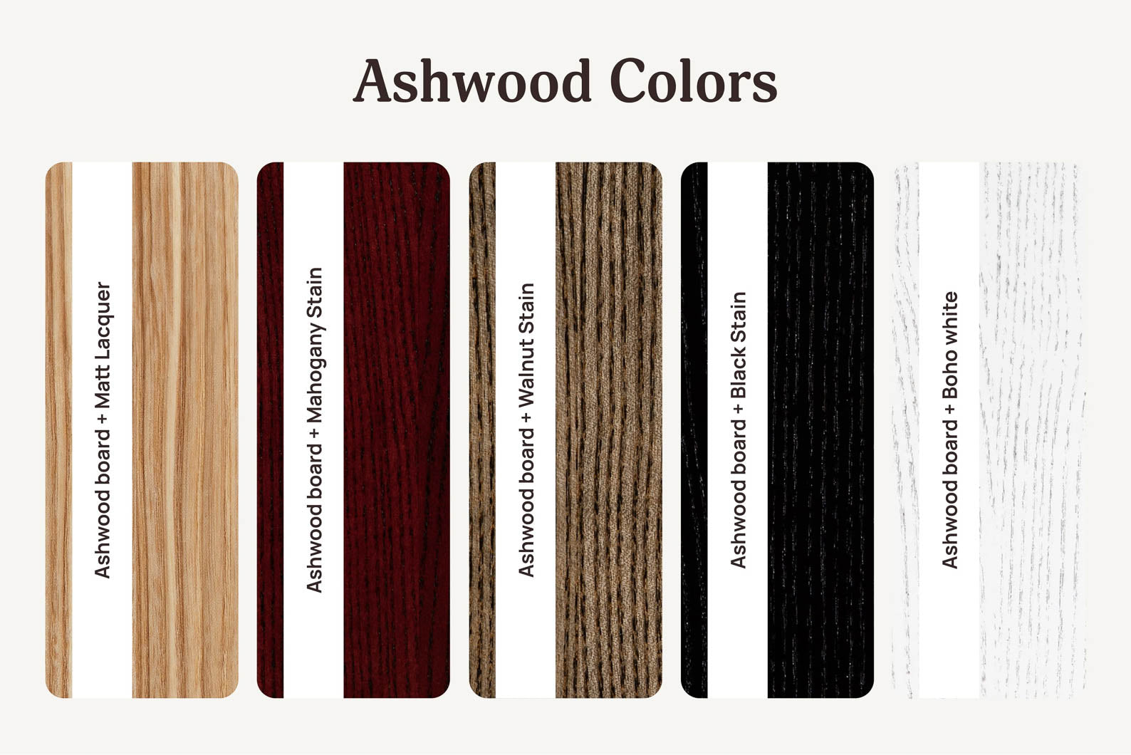 Set Of 5 pcs Qr Menu Sign Holders – Shopdaddy-Studio