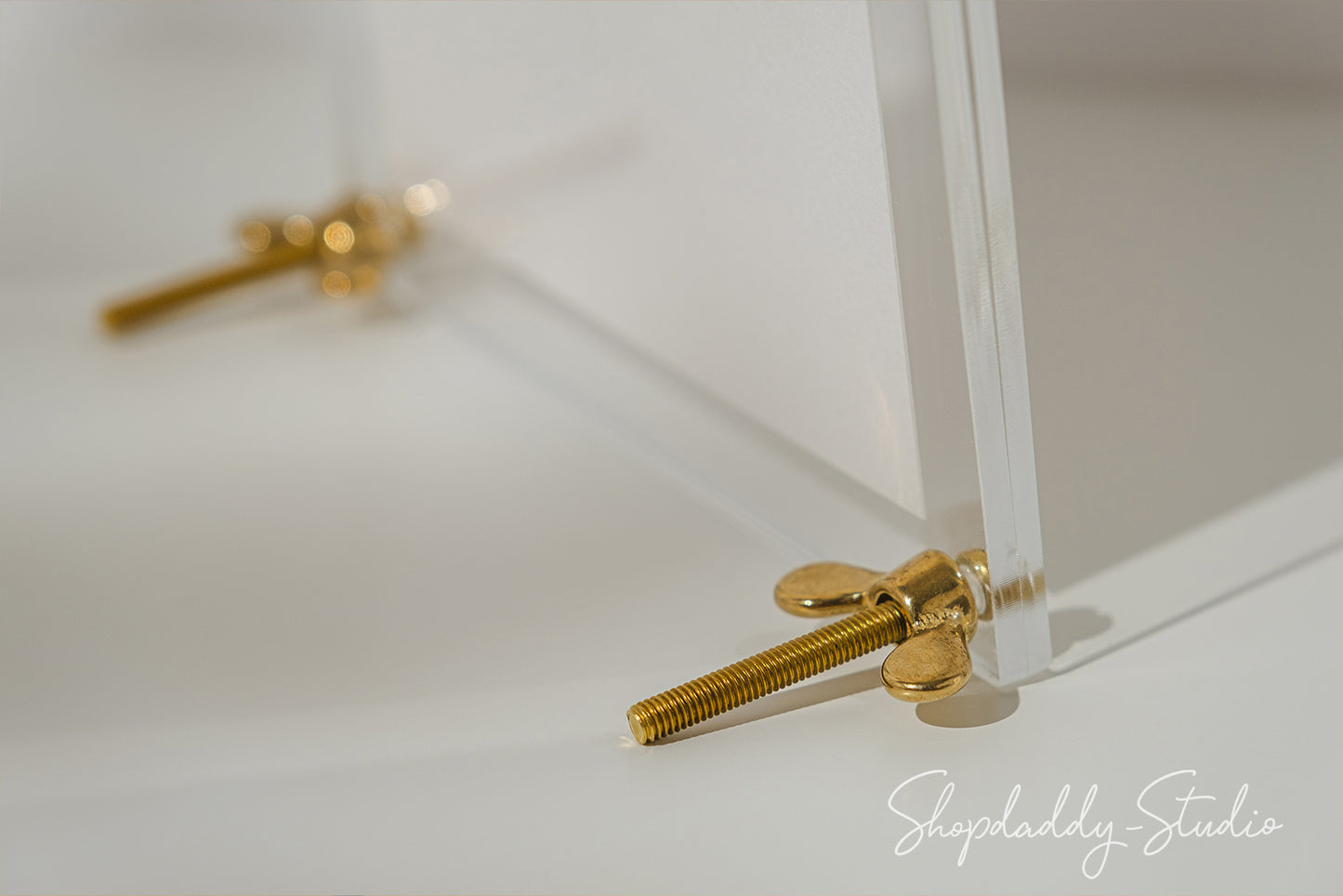 Clear Acrylic Sign Holder with Metal Screws for flyers